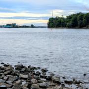Niedrigwasser-0926